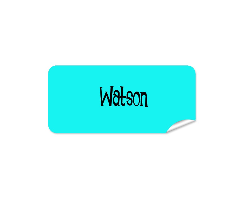 Aqua Rectangle Name Label