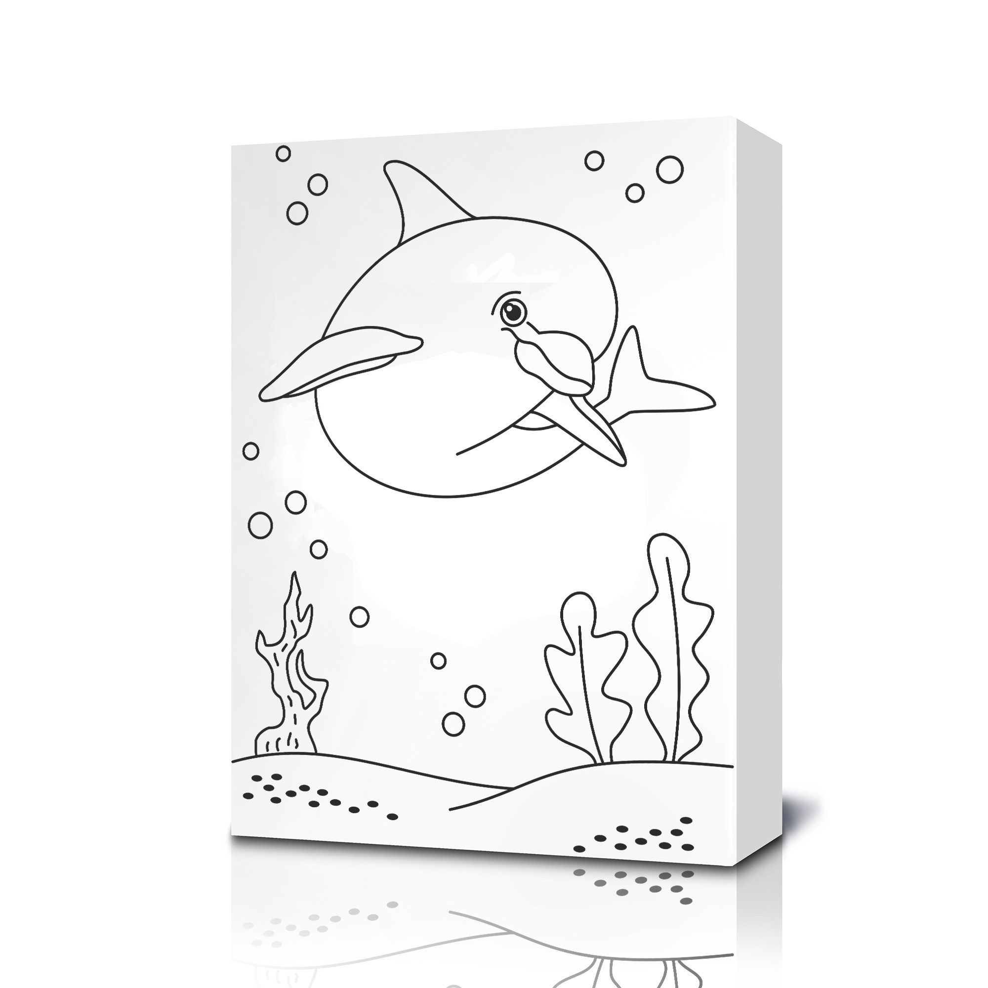 Dolphin Coloring Canvas