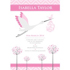 A4 Birth Print with Stork Pink 