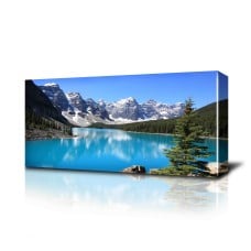 30x100cm (12 x 40") Panoramic Canvas Print