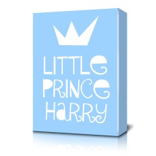Little Prince Canvas Print