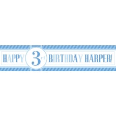 Blue Party Banner