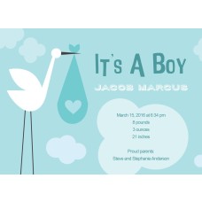 5x7" Blue Stork Birth Announcement Card