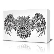 Owl Coloring Canvas
