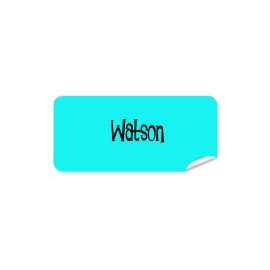 Aqua Rectangle Name Label