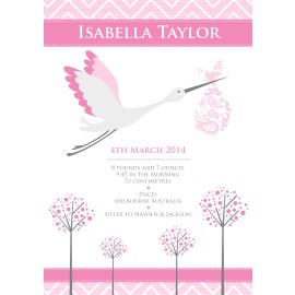 A4 Birth Print with Stork Pink 