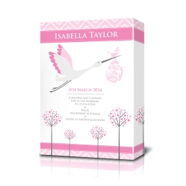 Canvas Birth Print with Stork Pink