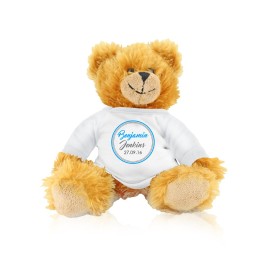 Blue Circle Teddy Bear