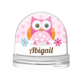 Owl Snow Globe