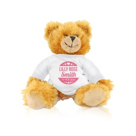 Pink Heart Teddy Bear