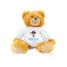 Pirate Teddy Bear